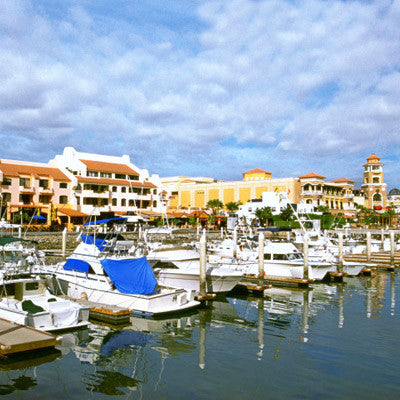 Coastal South Carolina