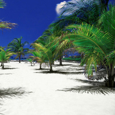 De Palm Island Trip in Aruba