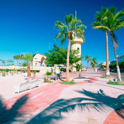 Discover Aruba Tour
