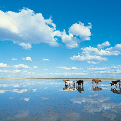 Discover Cancun Tour